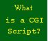 What does a CGI script do for a webpage?