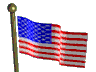 flagwave.gif on Left