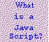 What are JavaScripts?