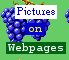 Add a picture to your webpage.