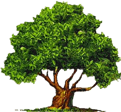 A Tree